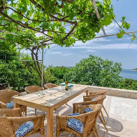 House Mavi تروغير